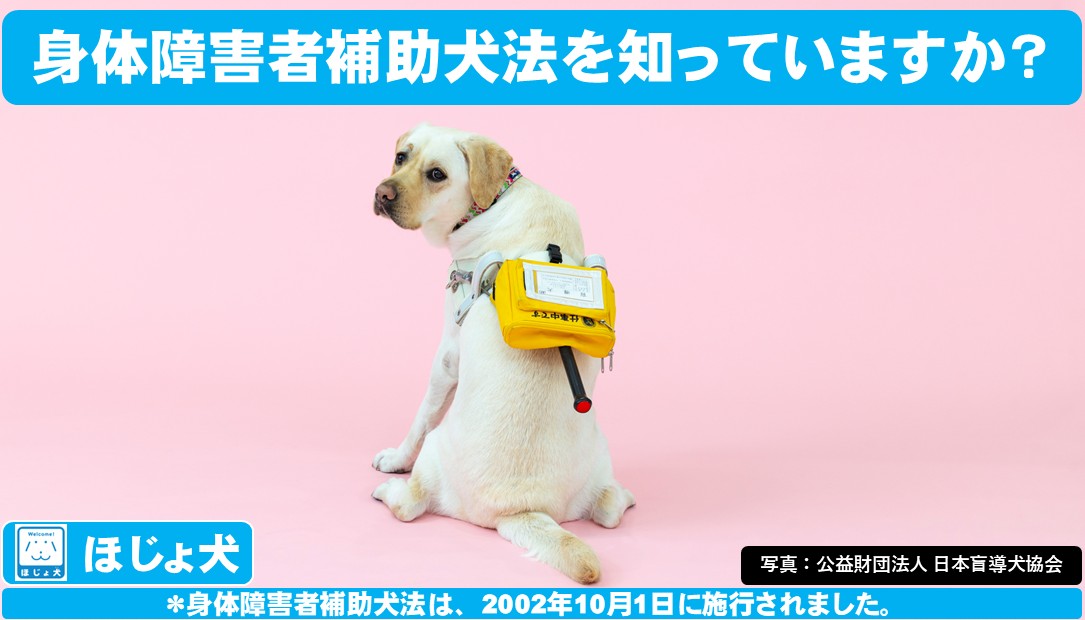 知っていますか?身体障害者補助犬法